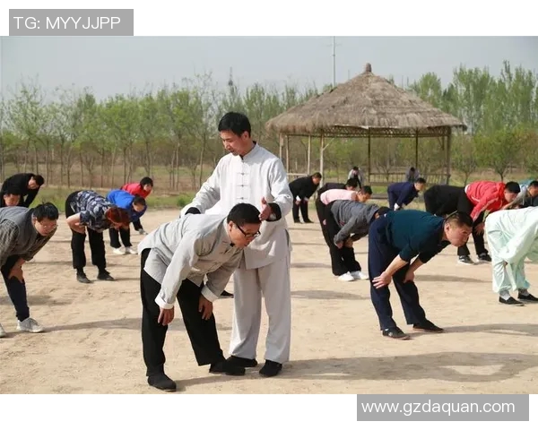 探寻陈炳太极拳老架一路的深厚内涵与实用技巧之旅