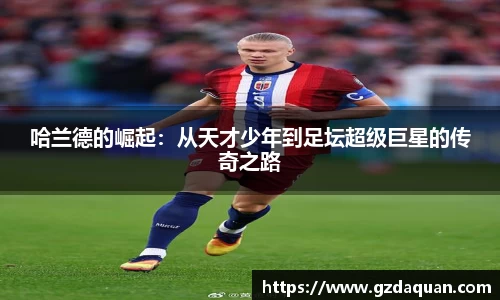 HB火博官网入口